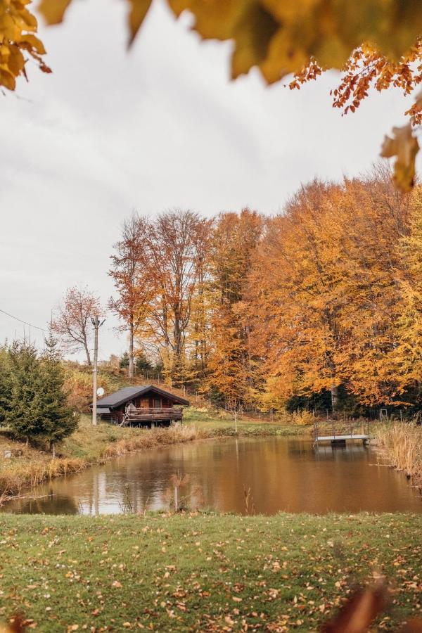 Vila Dolyna Mykolaya Mihove Exteriér fotografie