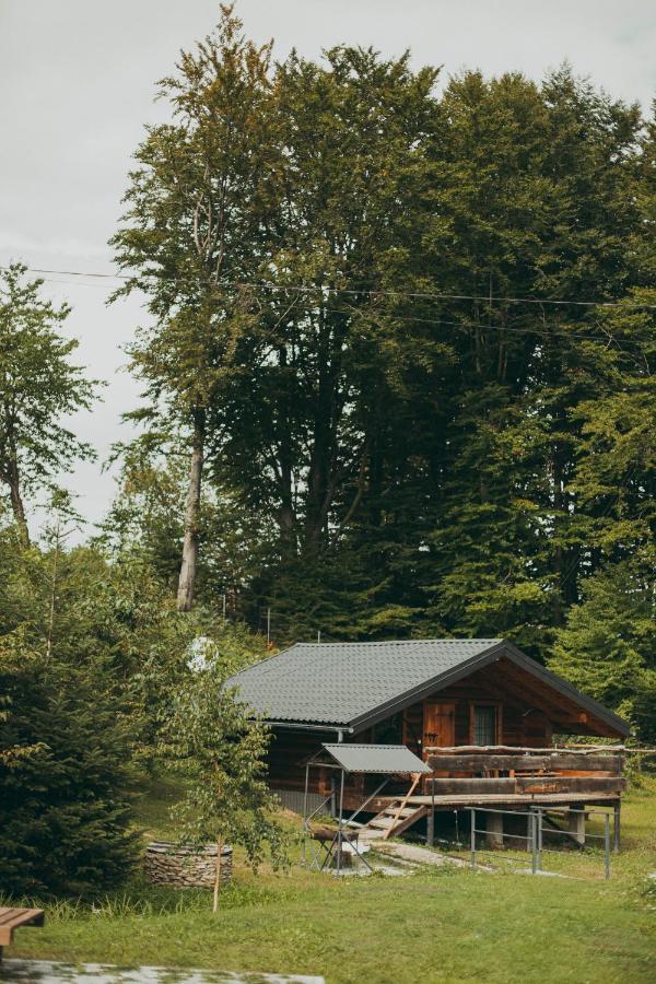 Vila Dolyna Mykolaya Mihove Exteriér fotografie